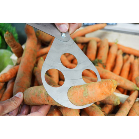 Kalibriergerät für Trauben/ Gemüse 10 bis 32 mm