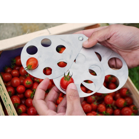 Kalibriergerät für Trauben/ Gemüse 10 bis 32 mm