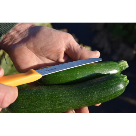 Salad harvest knife 11cm
