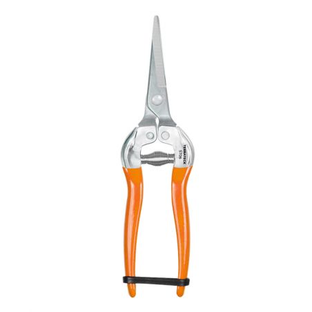 Straight harvesting stainless steel scissors T6 long cut