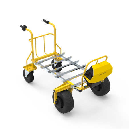 Multi-purpose double wheel electric cart