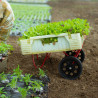 Single-wheel planting trolley for 60x40 crates