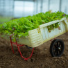 Single-wheel planting trolley for 60x40 crates