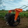 Plastic mulch hole puncher/seedbed roller